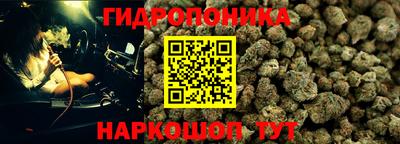 гашиш Тверь